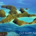 islands_seventy_h_0088_pal2298.jpg